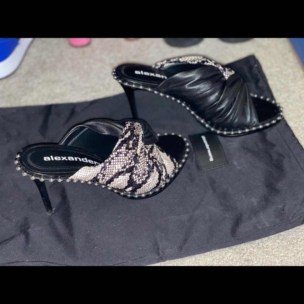 Alexander Wang heels